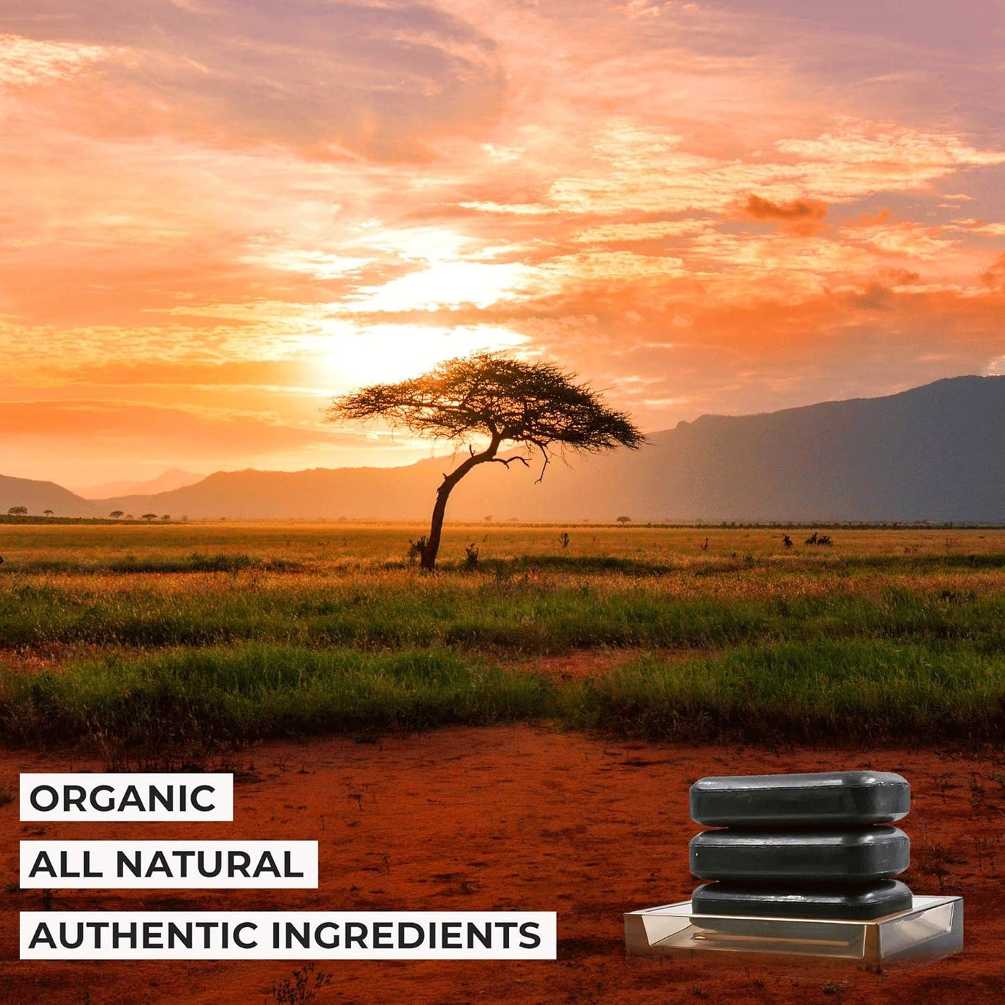 3-Pack Organic Soap Bar 4Oz Each Set - 100% Vegan Cold Process Body Wash Scented Premium Essential Handmade Soap - Natural Soaps for Men Women, Face, Body - African Black