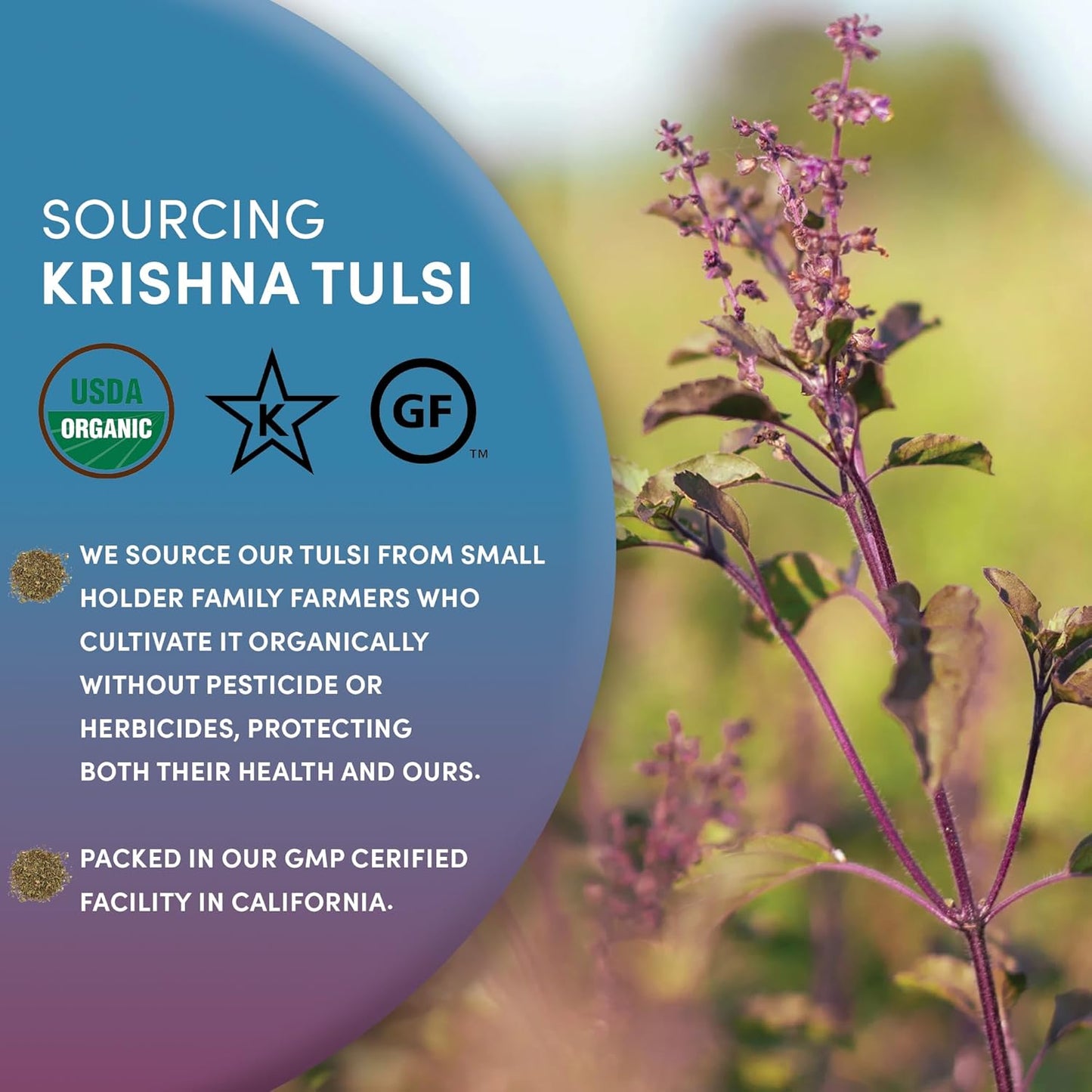 Organic Holy Basil Tea, 8Oz - Tulsi Krishna - Loose Leaf Premium Herbal Tea, 100% Pure Tulsi Holy Basil, Fair Trade, Adaptogenic, Kosher