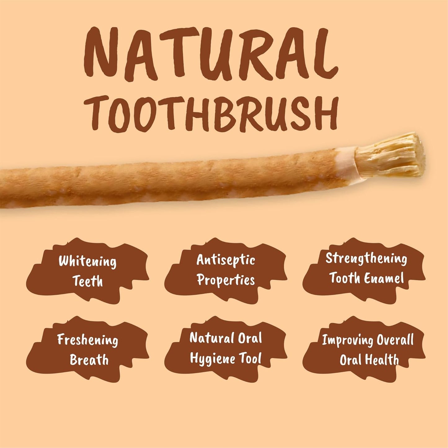 Miswak Stick for Teeth - Vacuum-Sealed Chewing Sticks, No Toothpaste Needed, Also Known as Siwak, Meswak, or مسواك | Pack of 3 Miswak Sticks with Holder