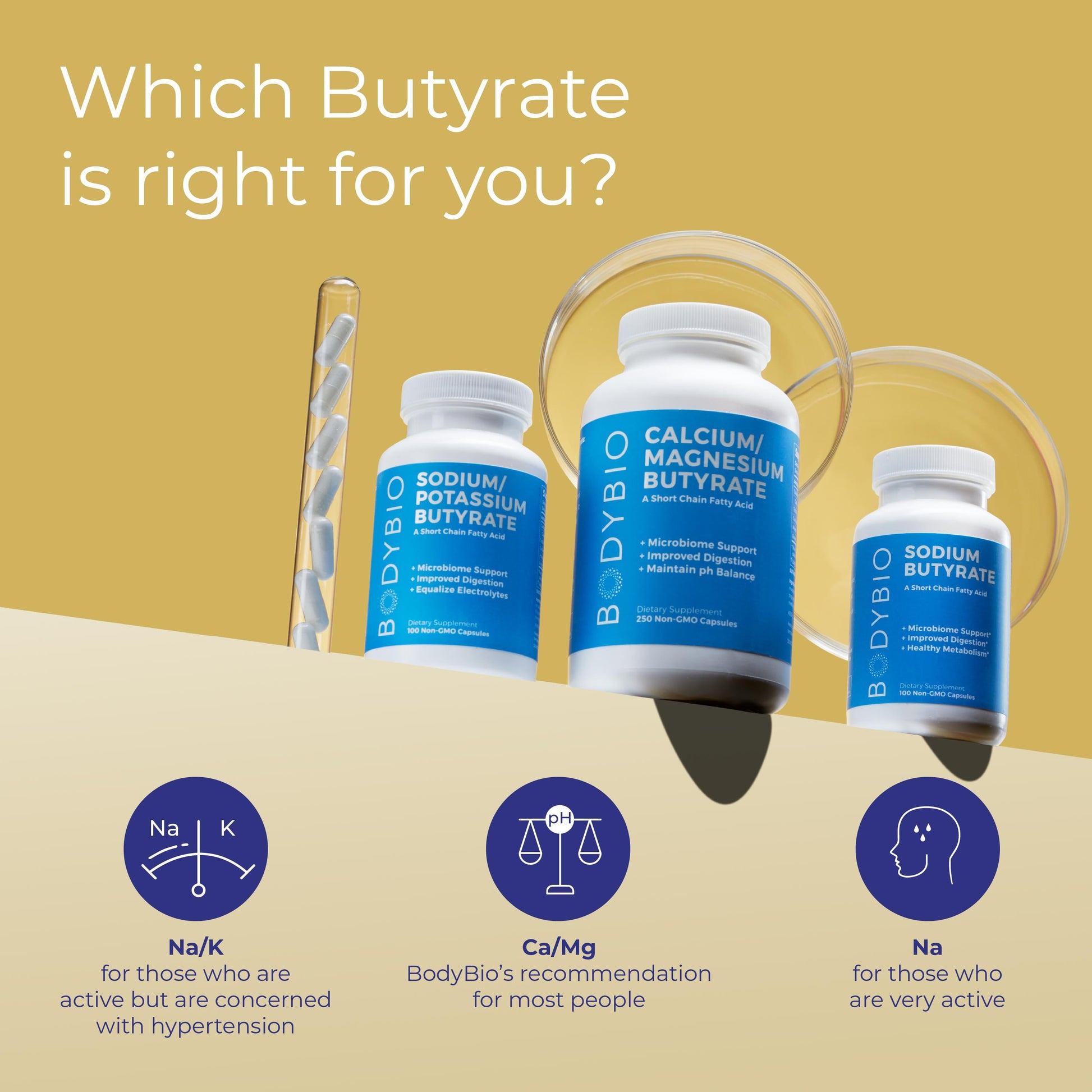 - Butyrate Gut Health Supplement 100 Calcium Magnesium Capsules