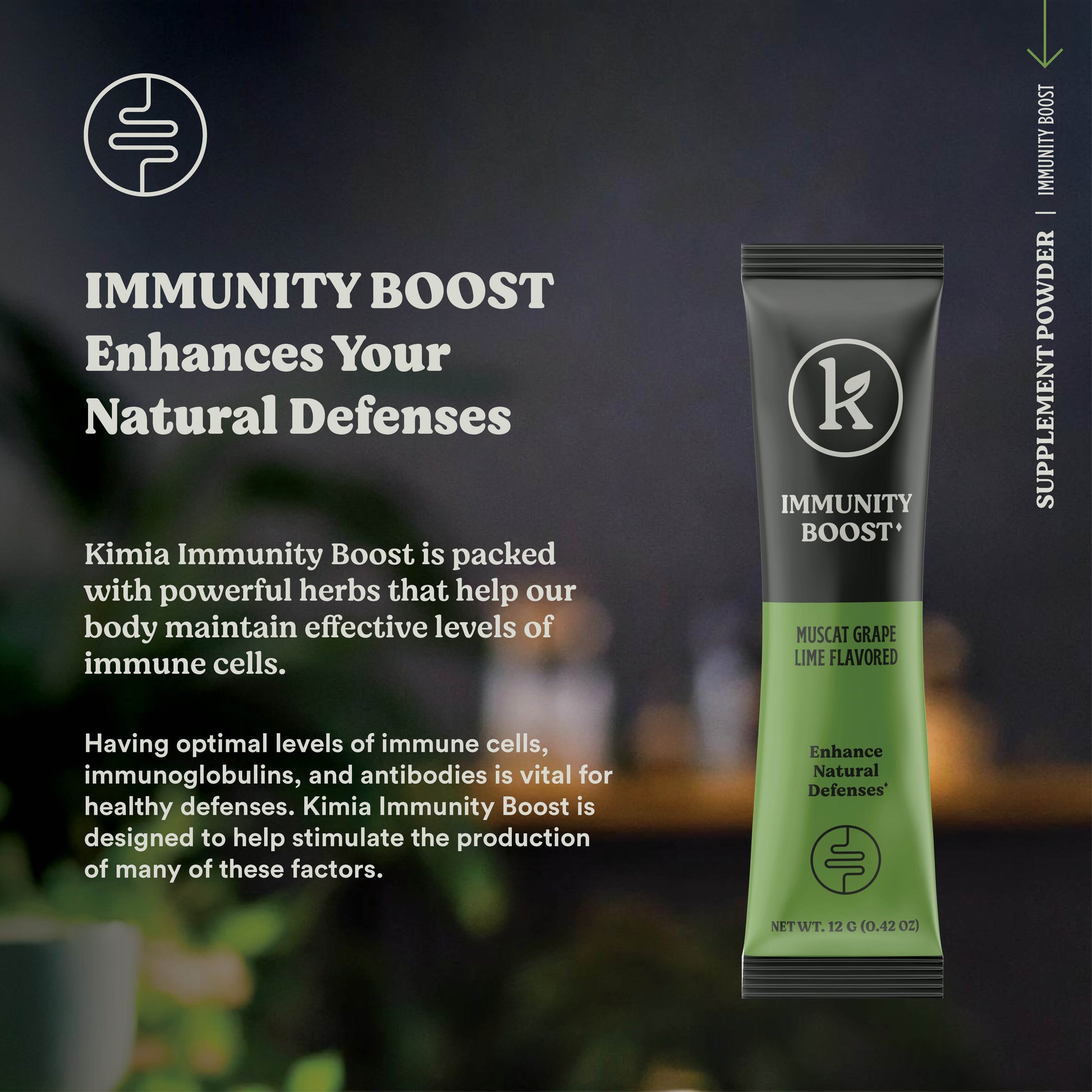 Immunity Boost – Superfood Powder for Gut Health & Immunity