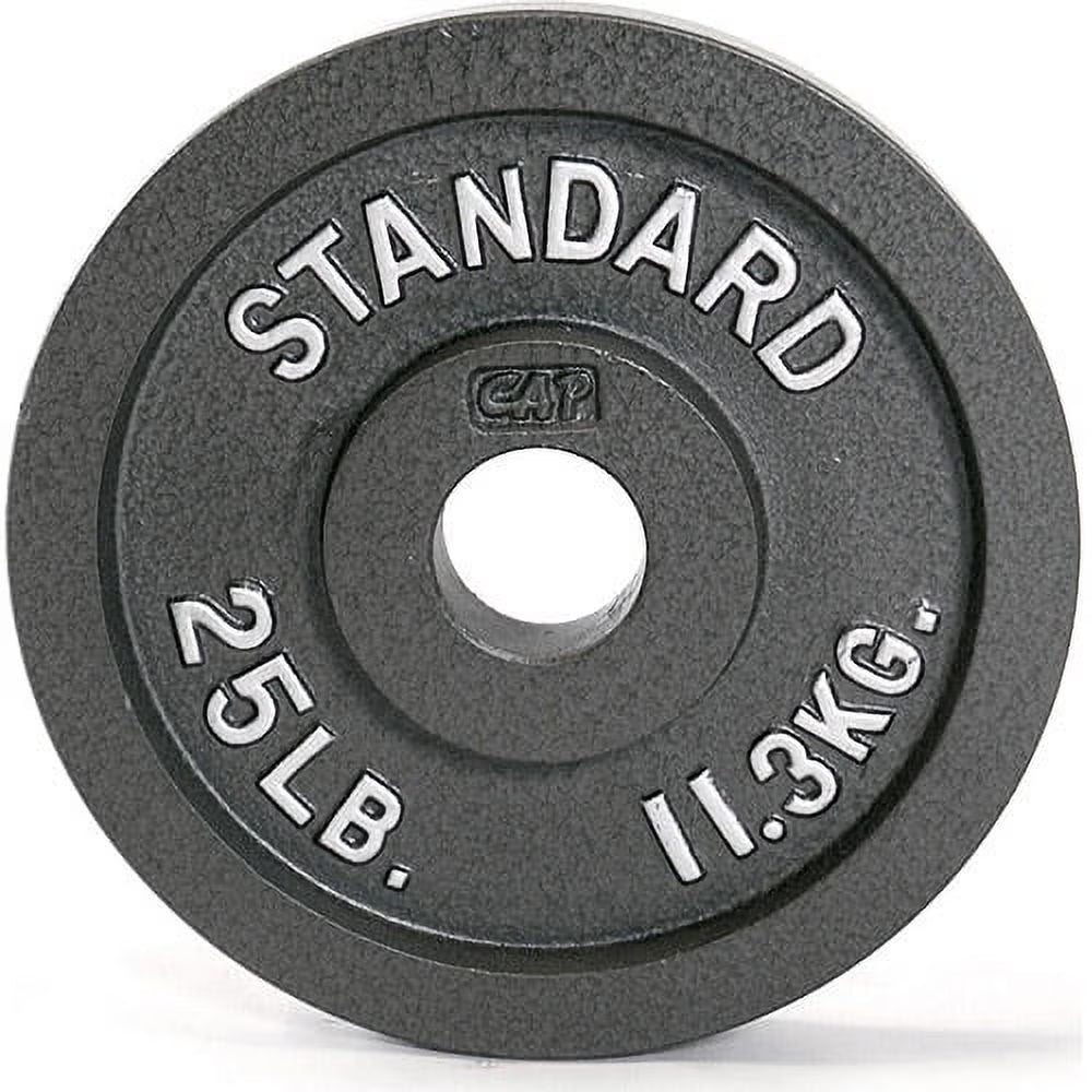 Barbell Gray Olympic Cast Iron Weight Plate, 25 Lb