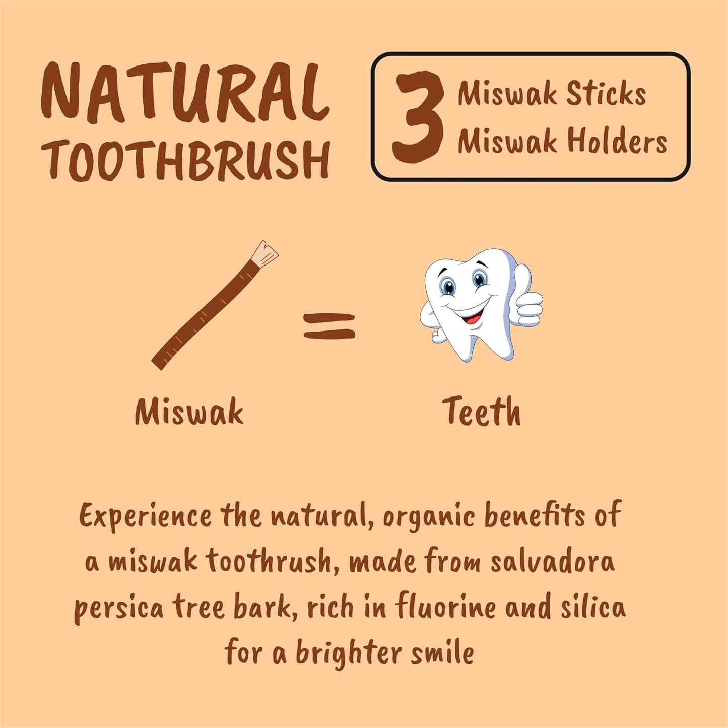 Miswak Stick for Teeth - Vacuum-Sealed Chewing Sticks, No Toothpaste Needed, Also Known as Siwak, Meswak, or مسواك | Pack of 3 Miswak Sticks with Holder
