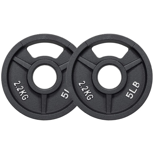 Cast Iron Weight Plates, Black, 2-Inch，Multiple Weight Options, Pair or Set, for Strength Training & Home Gym